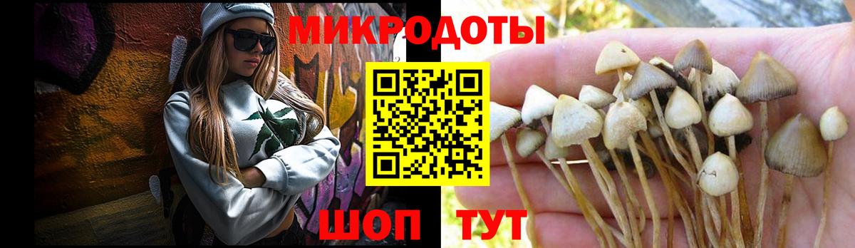 закладки  Вход с VPN  Ростов-на-Дону  Галлюциногенные грибы MAGIC MUSHROOMS 